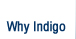 Why Indigo